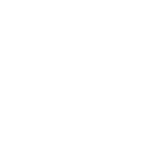 cargo cargo